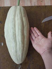 吃瓜网有毒吗,网络舆论的真相与反思