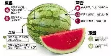 庆阳网红吃瓜群微信,揭秘网络社交圈的趣味与争议