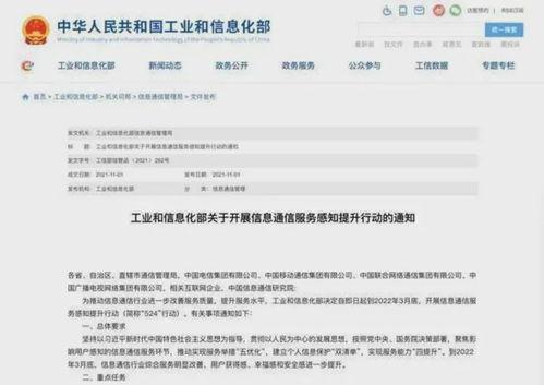 待寝 吃瓜人网盘,网络世界的秘密角落